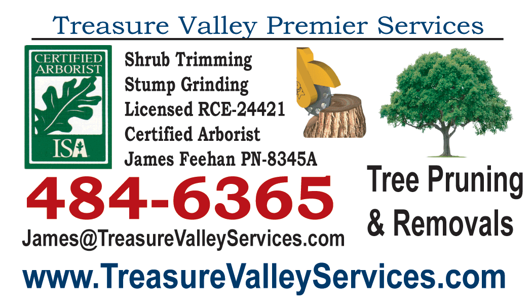TreasureValley Services